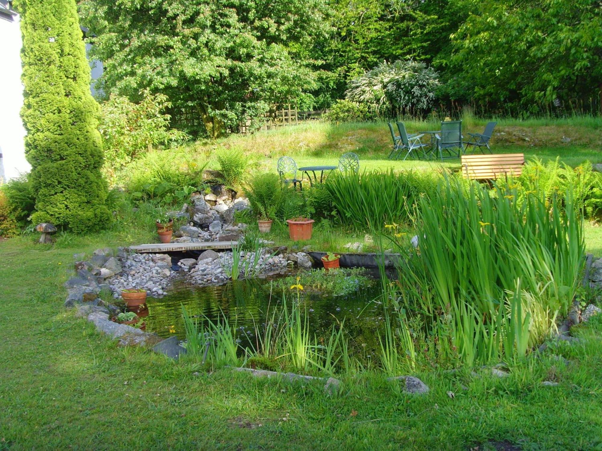 Beechwood B&B Postbridge Dış mekan fotoğraf